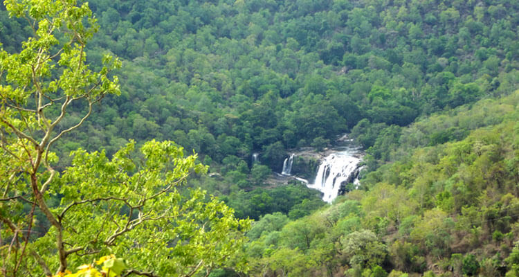 thoovanam waterfalls view point